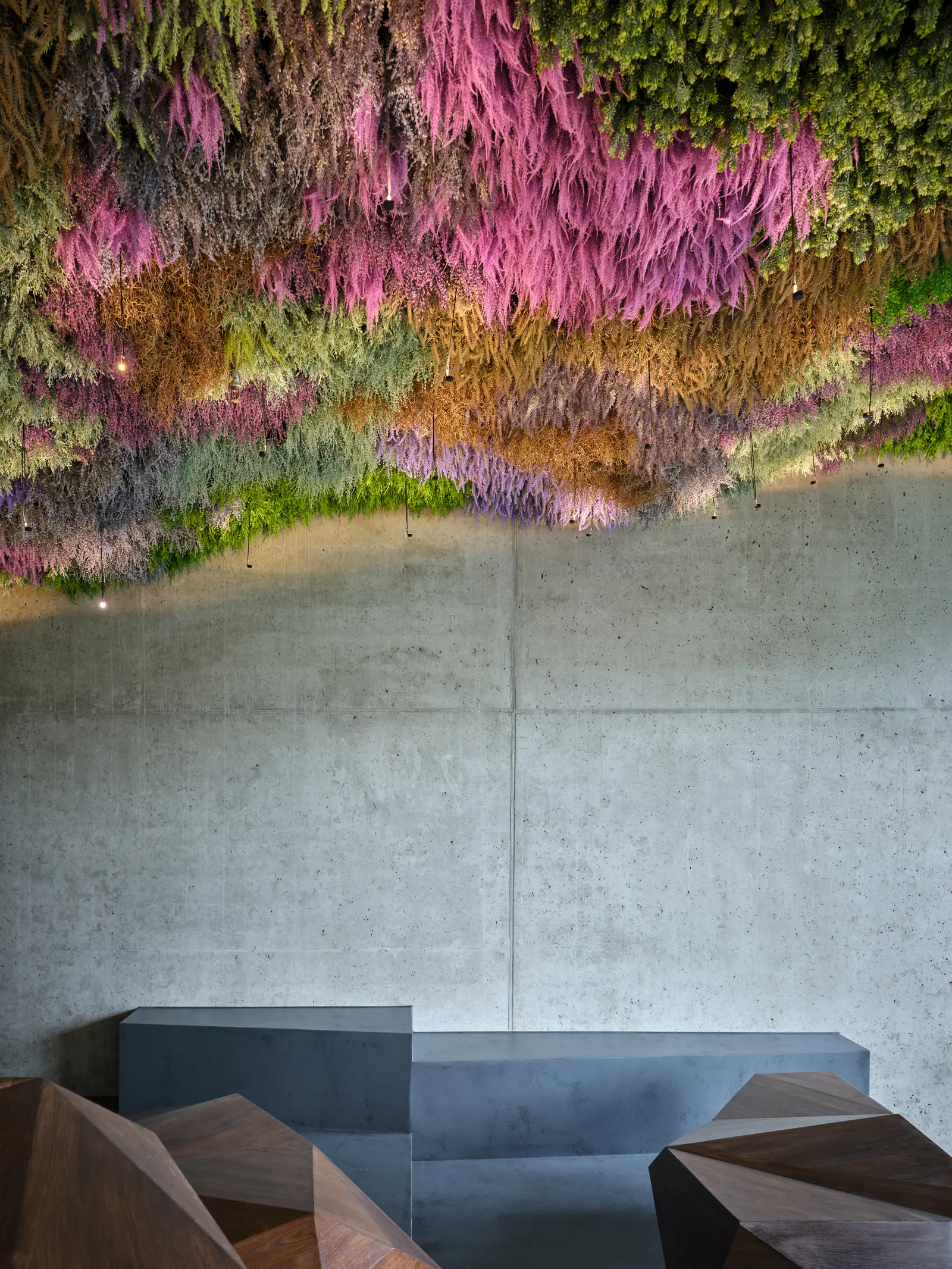 A concrete wall, a bench and wooden tables under the moss ceiling