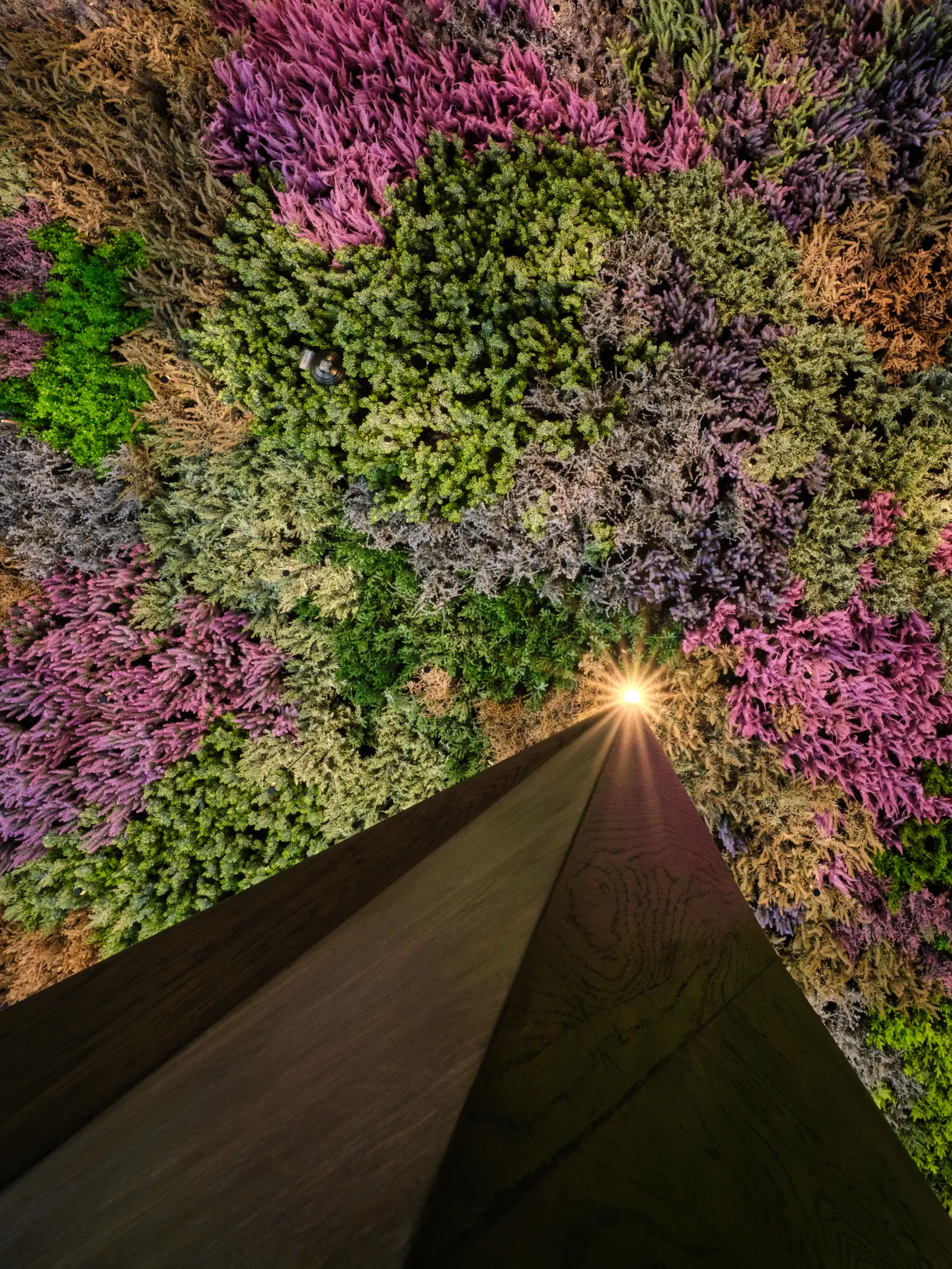 The moss ceiling and a lit concrete edge